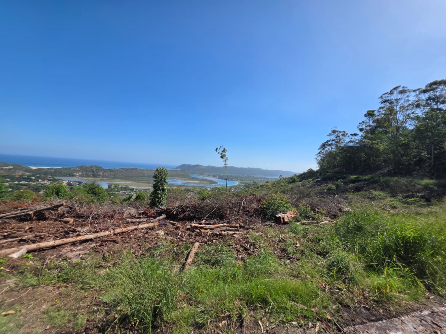 0 Bedroom Property for Sale in Sedgefield Rural Western Cape